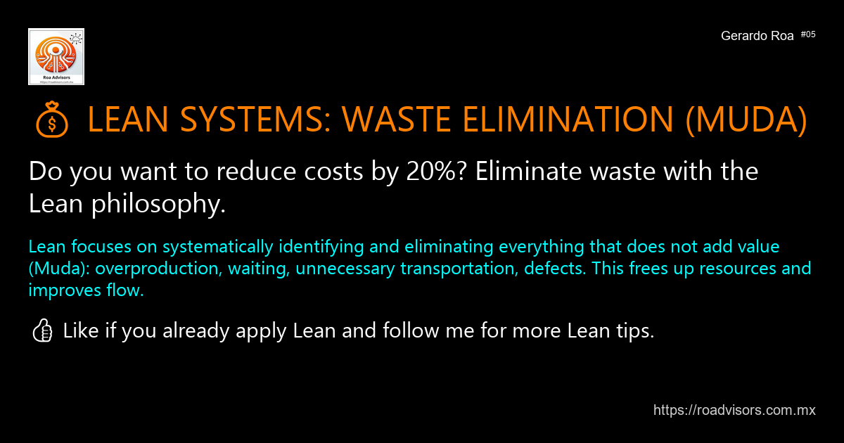 LEAN SYSTEMS: WASTE ELIMINATION (MUDA)